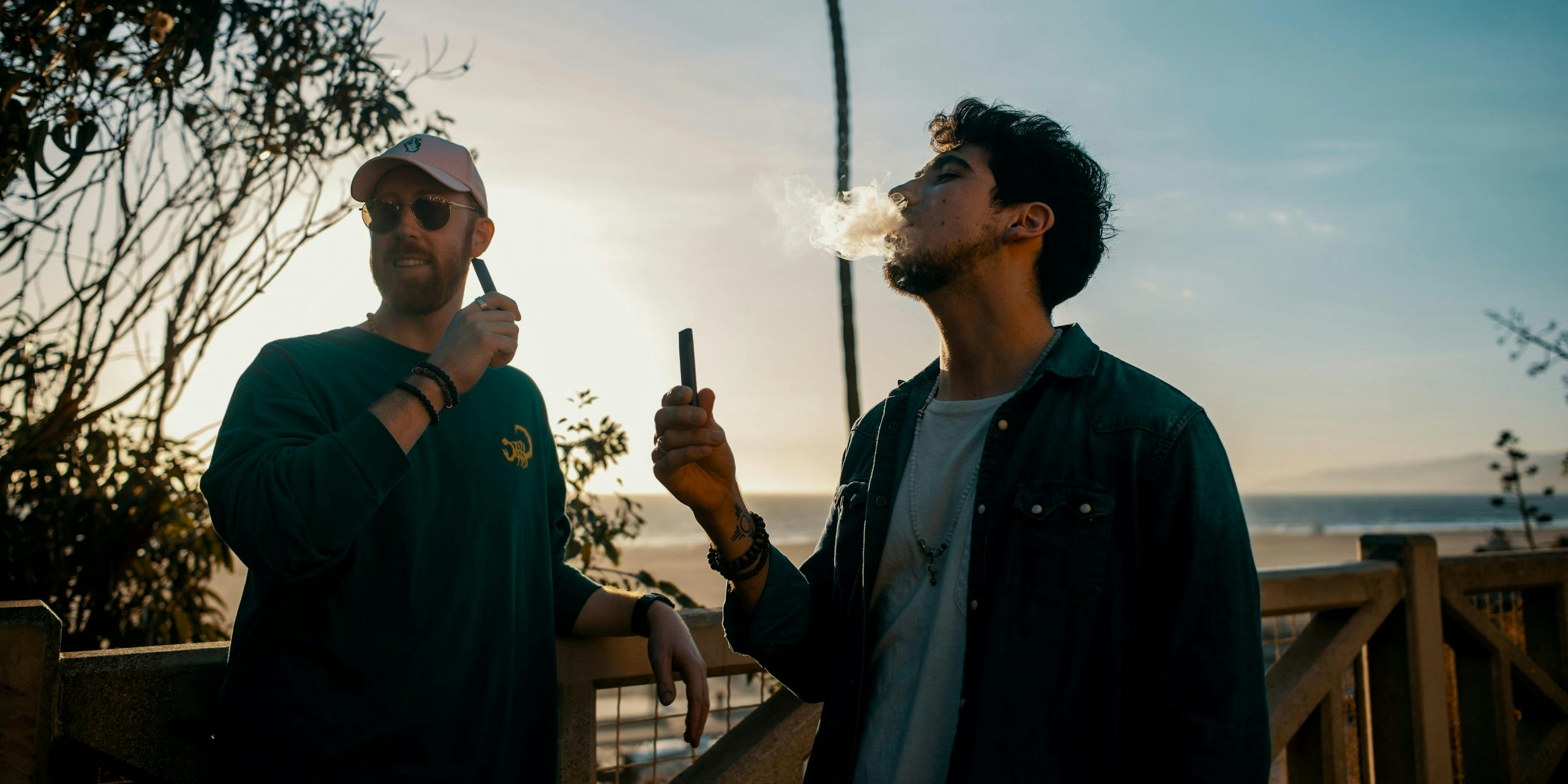 PAX Enters The Edible Scene, Discover Their Live Rosin-Filled Gummies