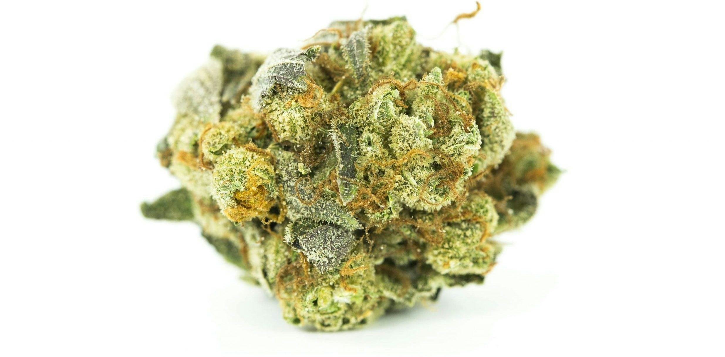 Weed That Makes You Laugh: Top 10 Strains