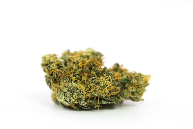 Best Weed Strains For ADHD In 2025