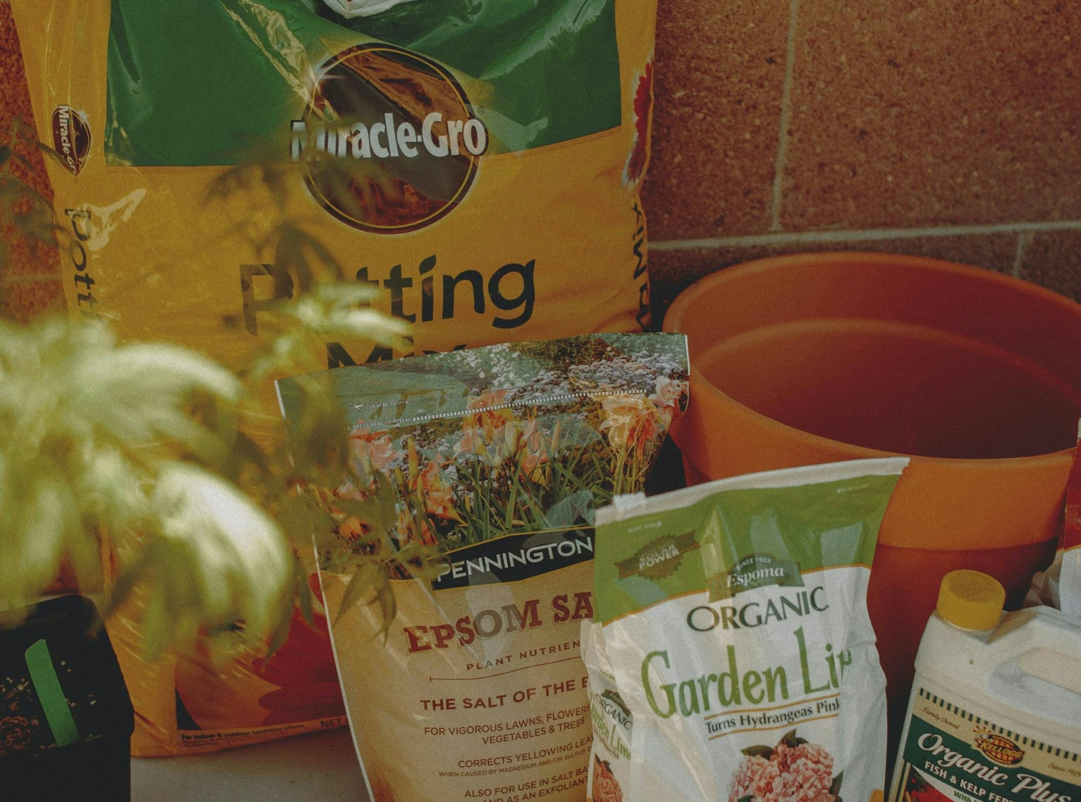 How To Grow Weed For Beginners Step-by-Step