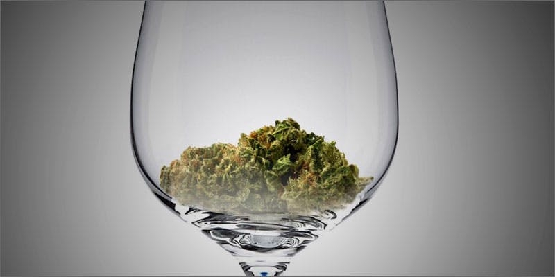 Cross Faded: Mixing Weed & Alcohol Effects