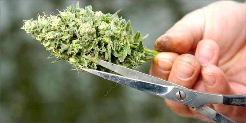 How To Get Higher: 30 High Tips