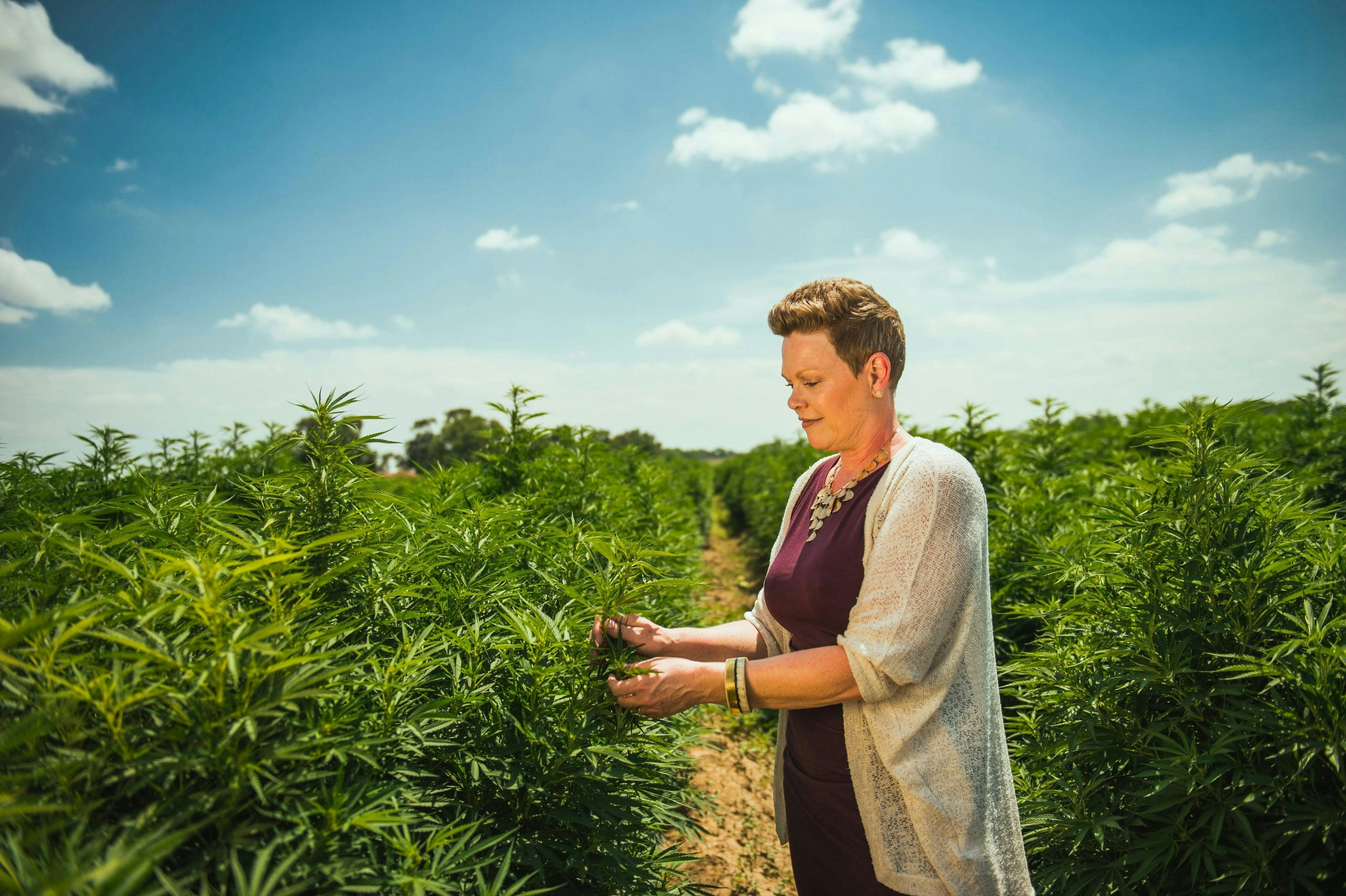 Best CBD Wholesalers: How To Find The Right One For You