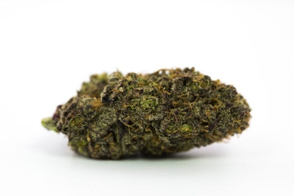 Here Are The Rarest Weed Strains On Earth Right Now