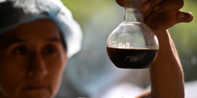 Herb’s Guide To The Best THC-O Pre-Rolls