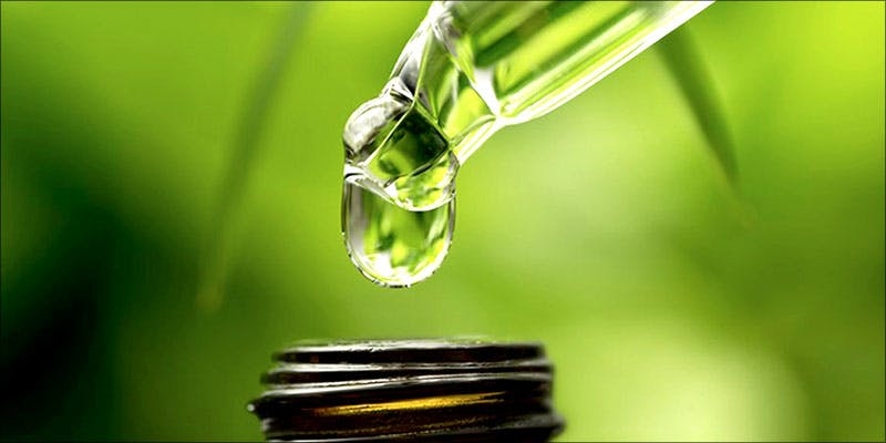 What Is CBDP? Everything You Need To Know