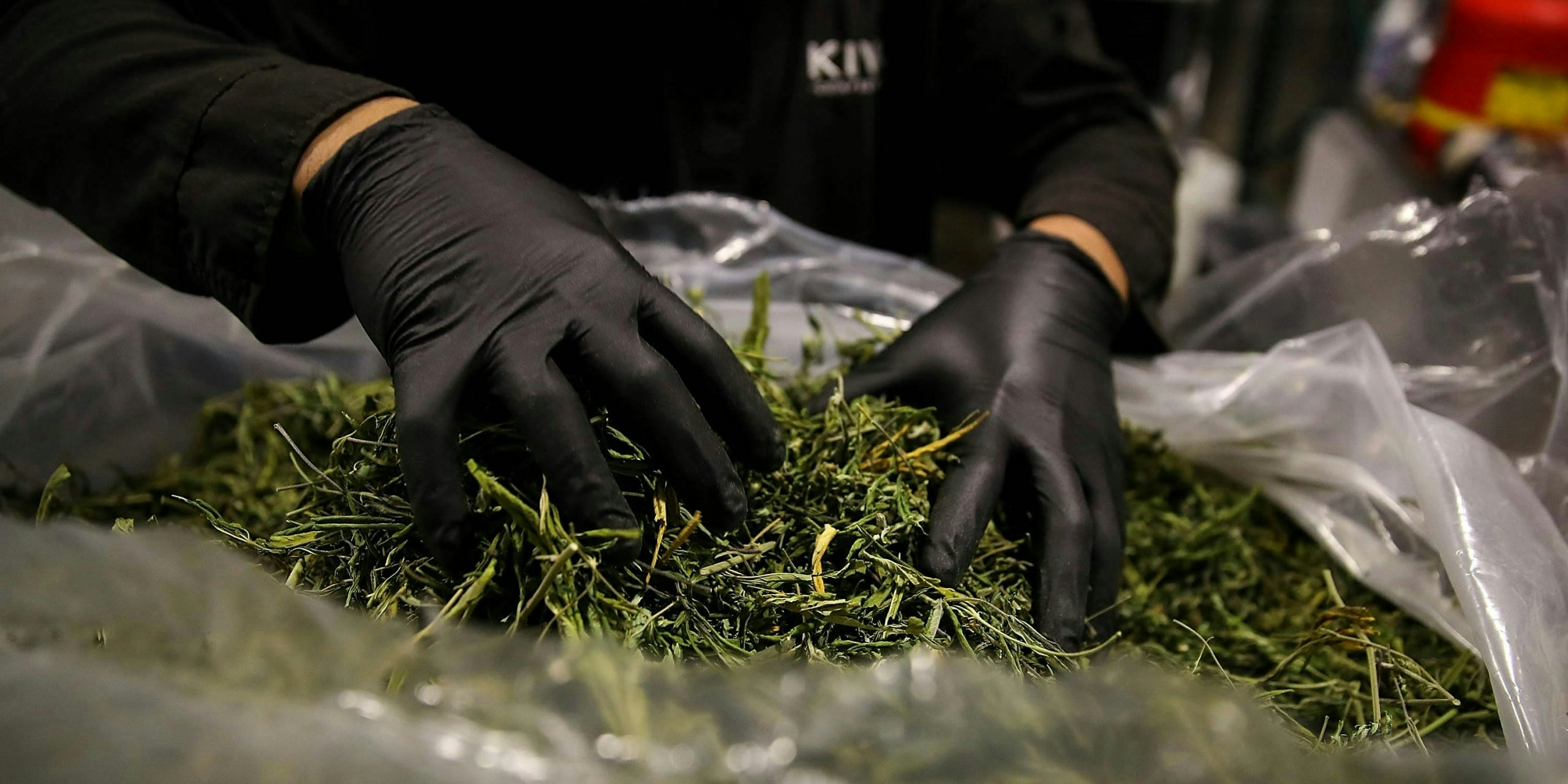 How To Decarb Marijuana: Cannabis Decarboxylation Guide