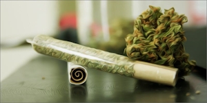 Learn How To Roll A Roach To Maximize Your Joints