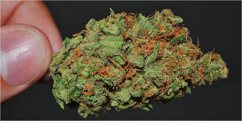 Is Weed Legal In Iceland? Here’s What To Expect In 2025