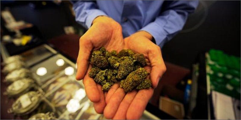 4 Things You Need To Know If You’re Charged With Cannabis Possession