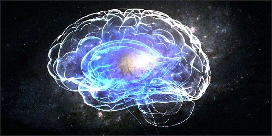 Does Cannabis Make You Smarter? This Harvard Study Suggests Yes