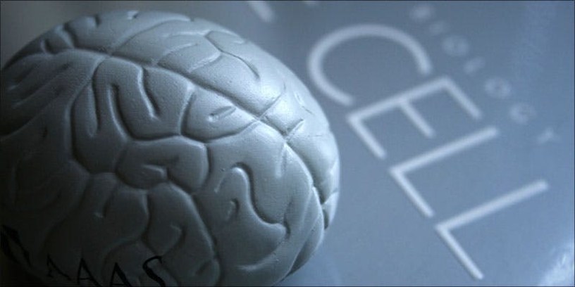 Does Cannabis Make You Smarter? This Harvard Study Suggests Yes