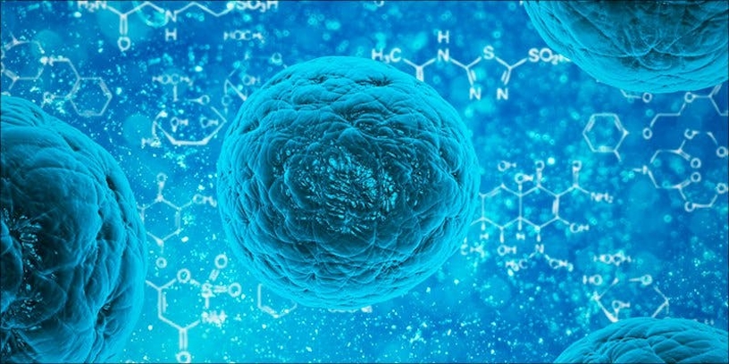 Autoimmune Diseases: How Does Cannabis Help?