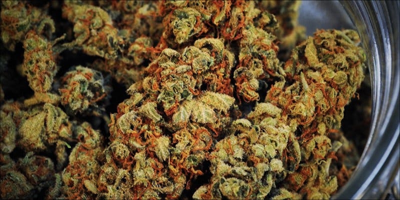 Autoimmune Diseases: How Does Cannabis Help?