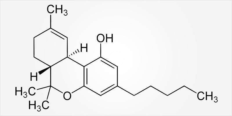 Marinol VS THC: What’s The Difference?