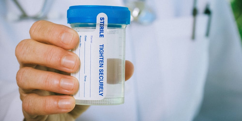 How To Pass A Drug Test For Weed