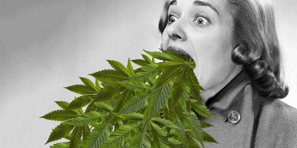 What Is Cannabis Hyperemesis Syndrome? Causes & Symptoms