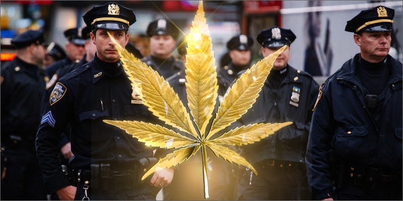 Have You Ever Wondered What $1 Million Worth of Weed Looks Like?