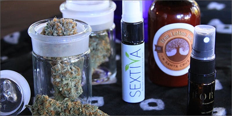 Wax vs Shatter: What’s The Difference Between Cannabis Concentrates?