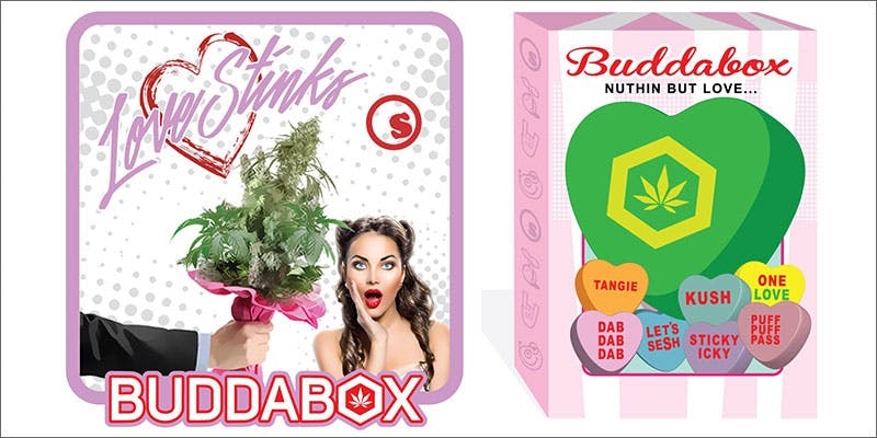 BuddaBox: The Only Subs Box That Lets You Order Month-By-Month