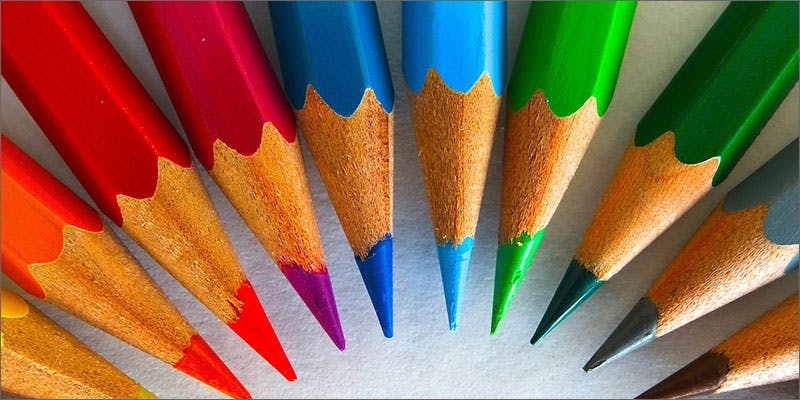 Plants Not Flowering? Make Sure You Know These Simple Fixes