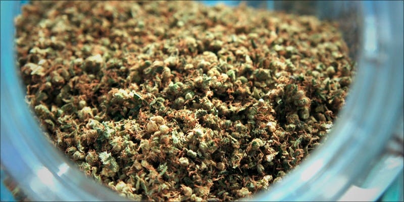 Here’s Everything You Need To Know About Shake