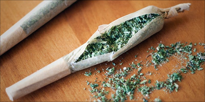 Here’s Everything You Need To Know About Shake