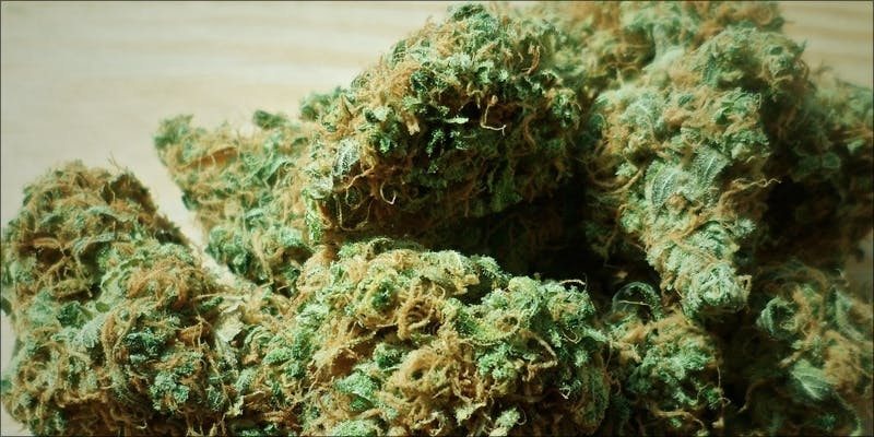 What Are the Long-Term Effects of Smoking Blunts?