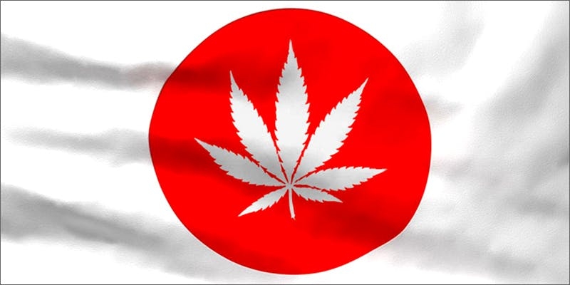 The Green Scene: What $20 Weed Looks Like In Japan