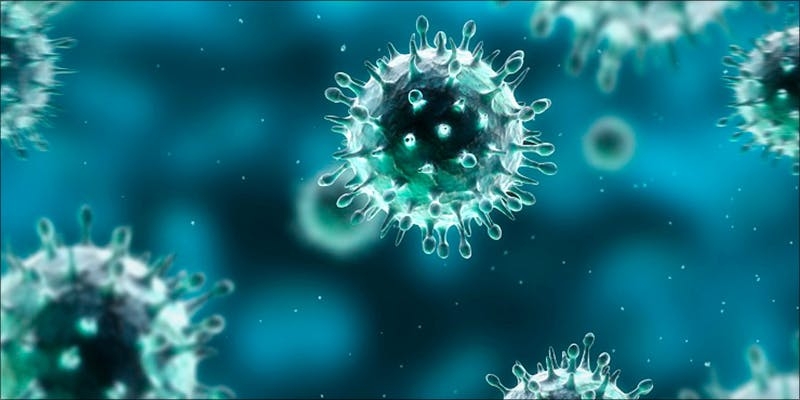 Does Cannabis Weaken Or Strengthen Your Immune System?