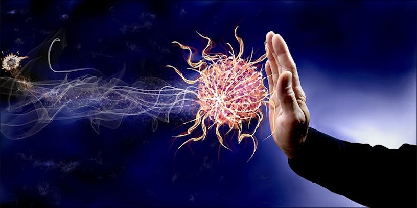 Does Cannabis Weaken Or Strengthen Your Immune System?