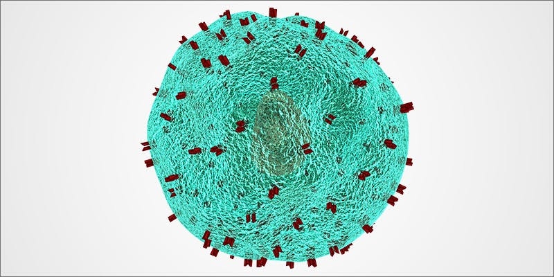 Does Cannabis Weaken Or Strengthen Your Immune System?