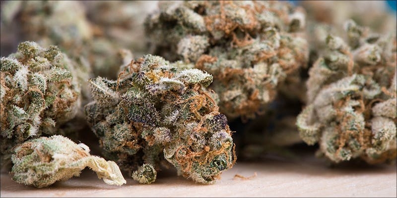 Does Cannabis Weaken Or Strengthen Your Immune System?