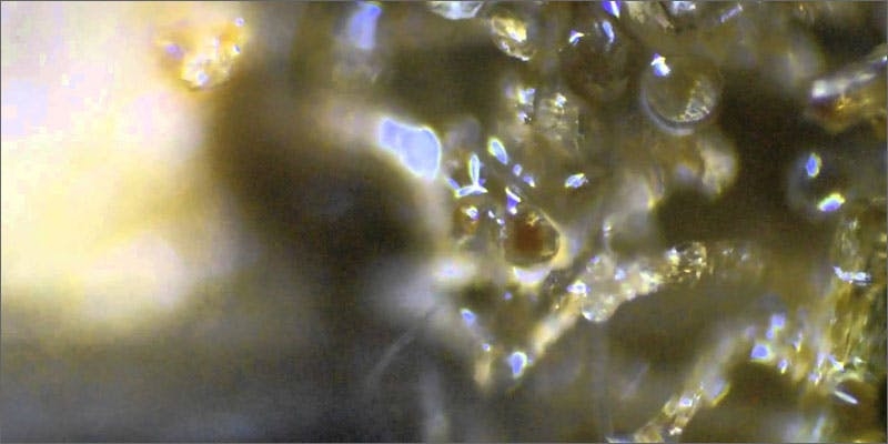 Terp Juice: Do You Know About Marijuana’s Most Potent Concentrate?