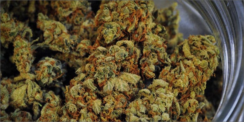 10 Best Weed Strains To Party With