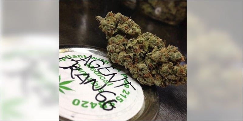 10 Best Weed Strains To Party With