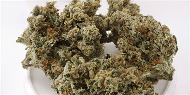 10 Best Weed Strains To Party With