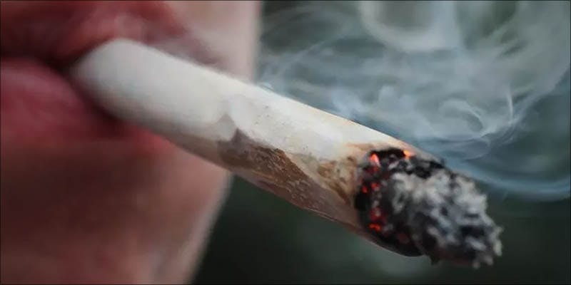 3 States Dropping Cannabis From Pre-Employment Drug Tests