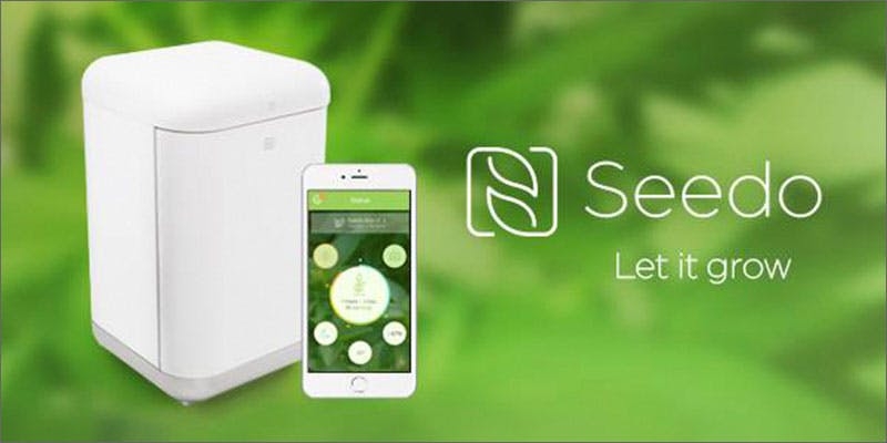 Seedo Will Automatically Grow Perfect Weed For You