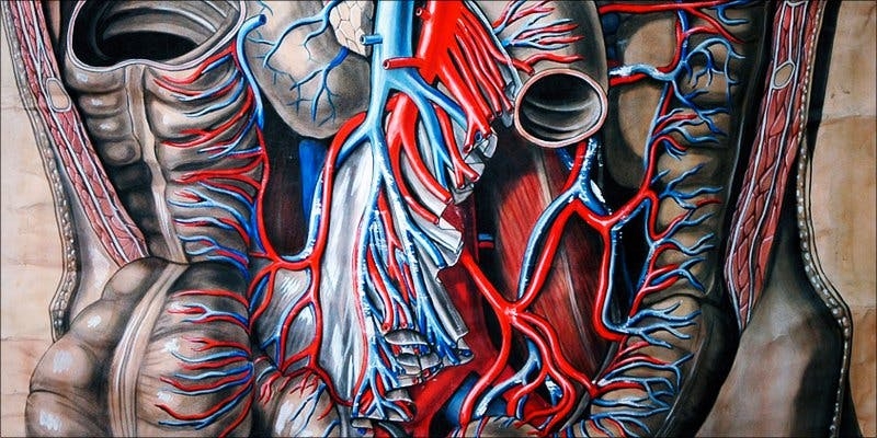 Cannabis & The Gut: Does Weed Heal Or Harm?