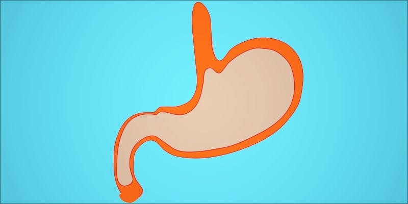 Does Weed Slow Down Digestion? Cannabis Gut Health