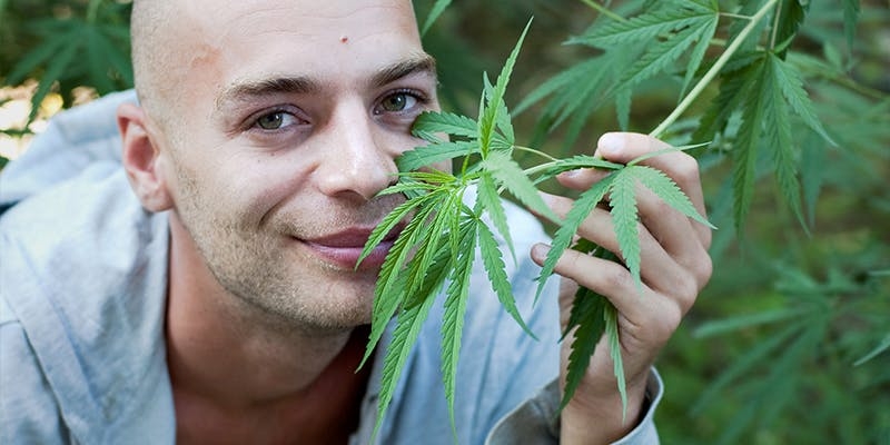 5 Reasons Why You Should Vape CBD