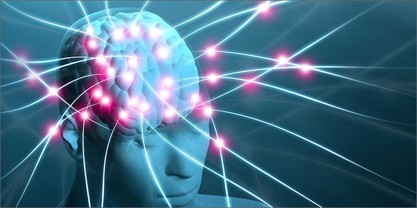 Why Do We Have Cannabinoid Receptors?