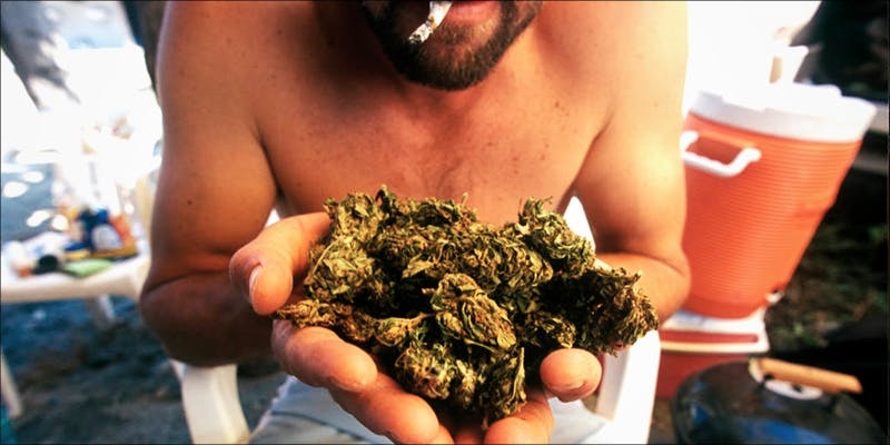 Green Scene: Here’s What $20 Weed Looks Like In Puerto Rico
