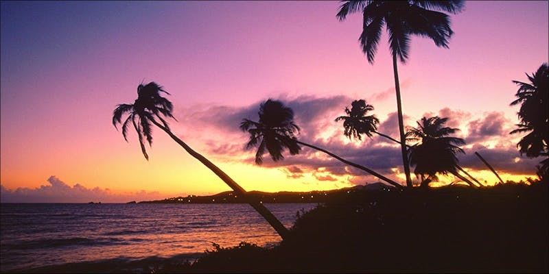 Green Scene: Here’s What $20 Weed Looks Like In Puerto Rico