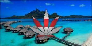 The Green Scene: What $20 Weed Looks Like In Bora Bora