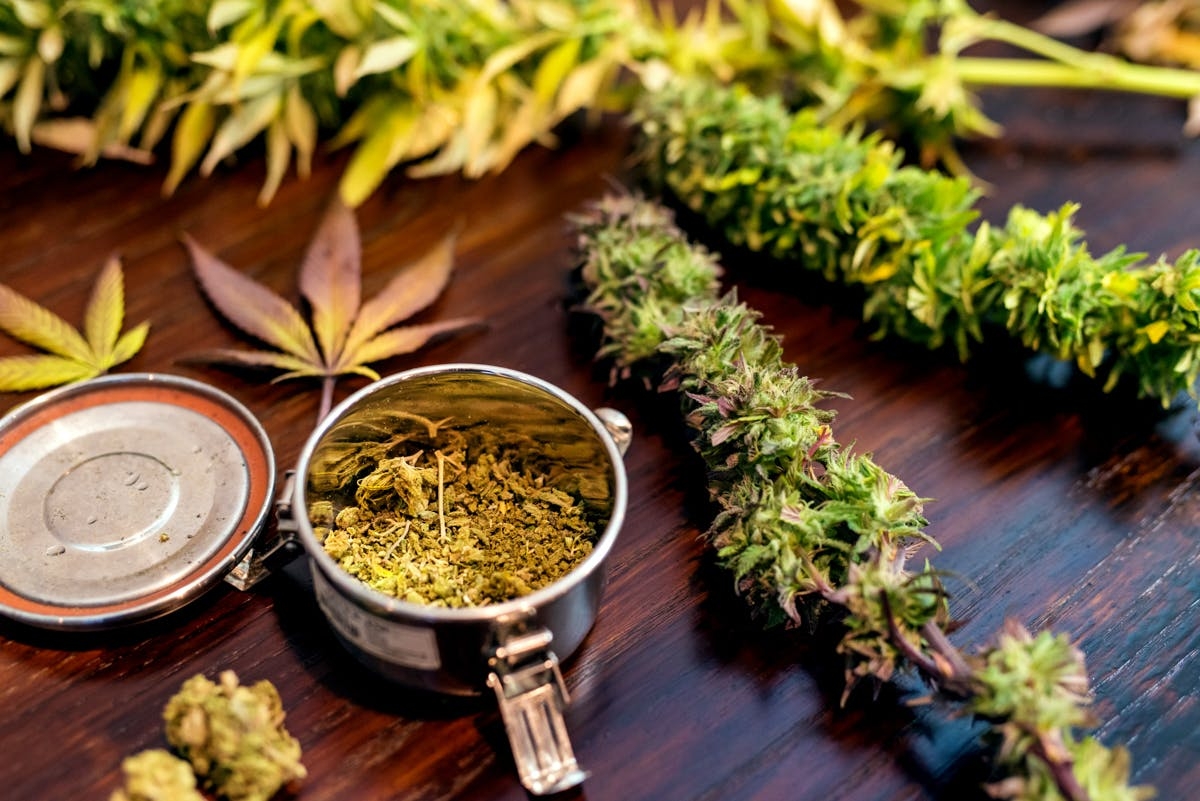 Where Is Marijuana Legal In The U.S.A.? The Definitive Guide To Weed Laws By State