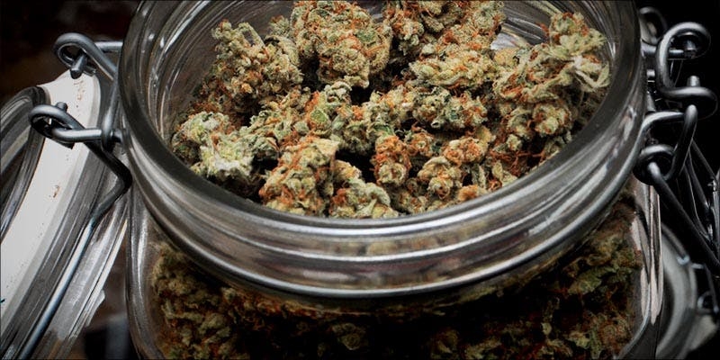 How Long Does Weed Stay Good?