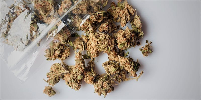 How Long Does Weed Stay Good?