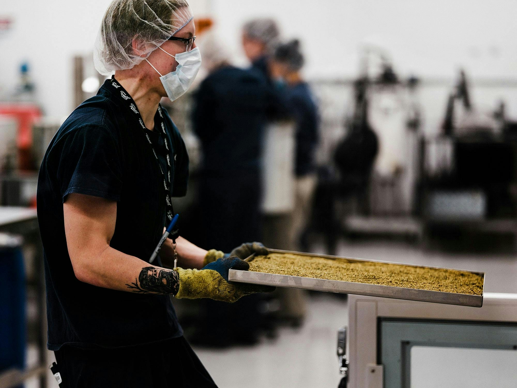 28 Licensed Producers In Canada That You Should Know